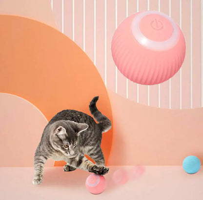 Cat Interactive Smart Toys Ball