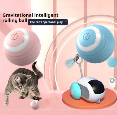 Cat playing with indoor smart electric play ball
