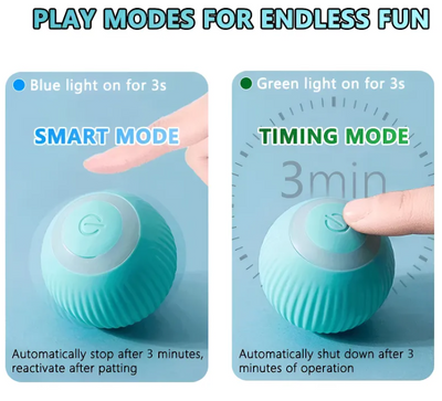 Cat chasing indoor smart play ball toy indoors