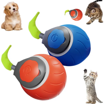 Pet toy with green, blue, and red colors on a white background with pets.