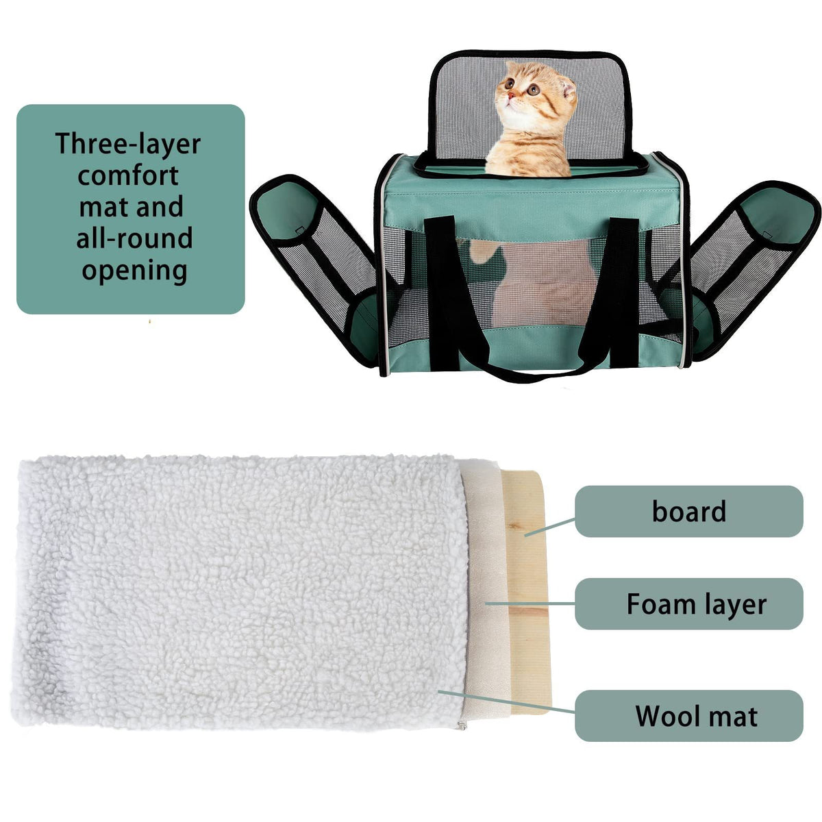 Cat inside portable pet crossbody bag