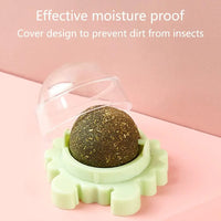 Catnip Wall Ball Cat Toy