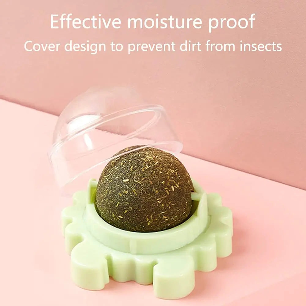 Catnip Wall Ball Cat Toy