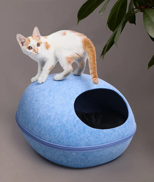 Cat Cave with Semi-Closed Design