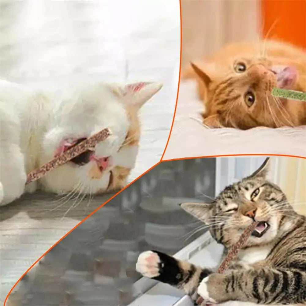 100% Natural Silver Vine Cat Chew Toys (6 Sticks/Box)
