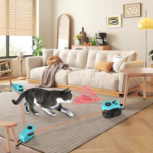 Cat Interactive Weight Loss Toy