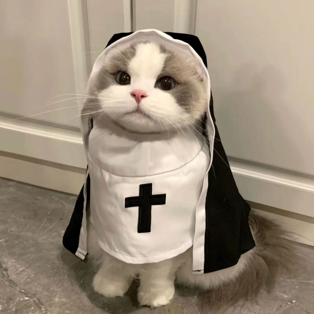 Cat & Dog Costume Cloak for Halloween