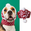 Christmas Reindeer Knit Hat for Pets – view 5