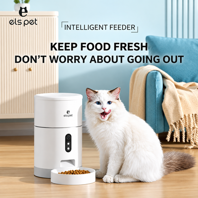 Cat Feeder With Camera – white automatic feeder beside a Ragdoll cat in a bright living room