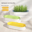 Cat Grass Box – view 3