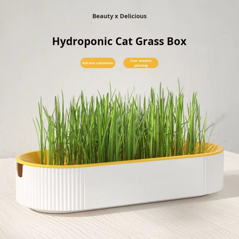 Cat Grass Box – view 4