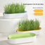 Cat Grass Box – view 5