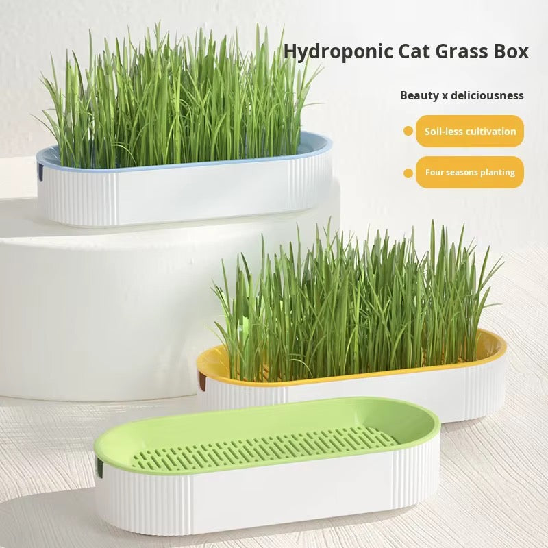 Cat Grass Box – view 5