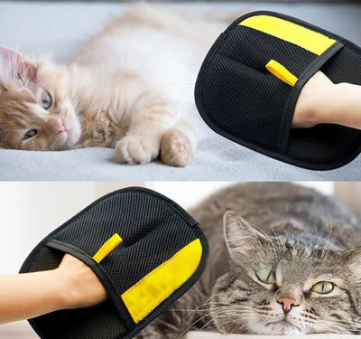 Cat hair remover glove packaging and accessories