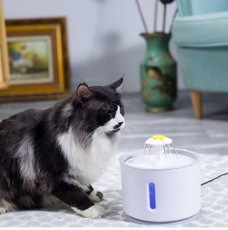 Cat USB Electric Water Feeder – view 2