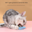 Catnip Ball Toy for Cats