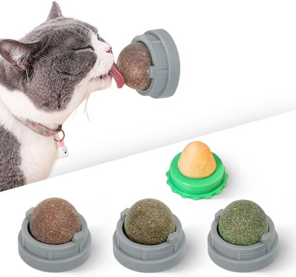Catnip & Silvervine Ball Toy Set (4 Pcs)