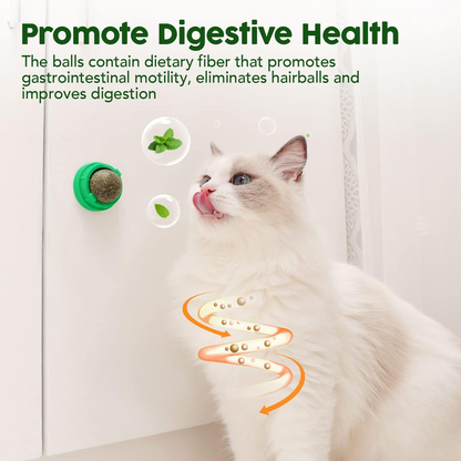 Catnip & Silvervine Ball Toy Set (4 Pcs)