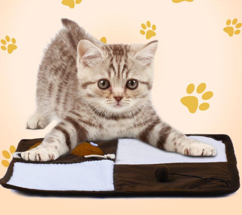 Cat Scratching Mat with Catnip Toy and Sisal Fiber