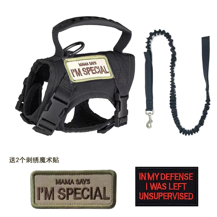 Adjustable Tactical Cat Harness with Leash