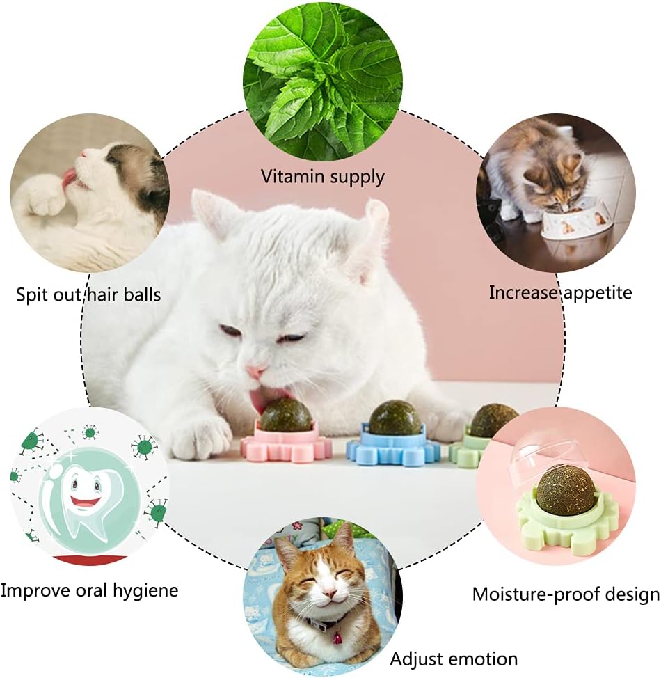 Catnip Wall Ball Cat Toy