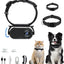 Collar Cat Camera