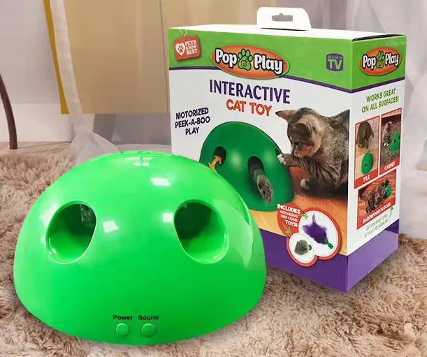 Electric Cat Toy with Mouse Chaser for Pets