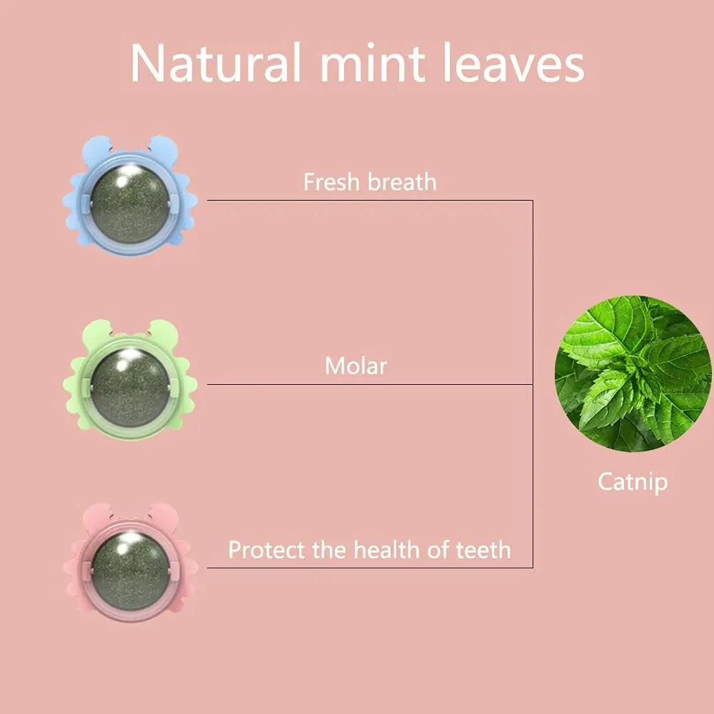 Catnip Wall Ball Cat Toy