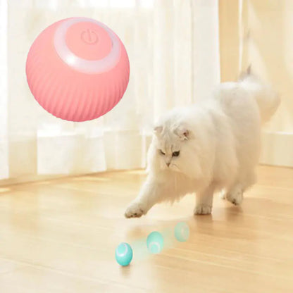 Cat Interactive Smart Toys Ball