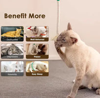Cotton Rope Cat Chew Toy with Silvervine Fruit