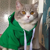 Soft Warm Cat Clothes