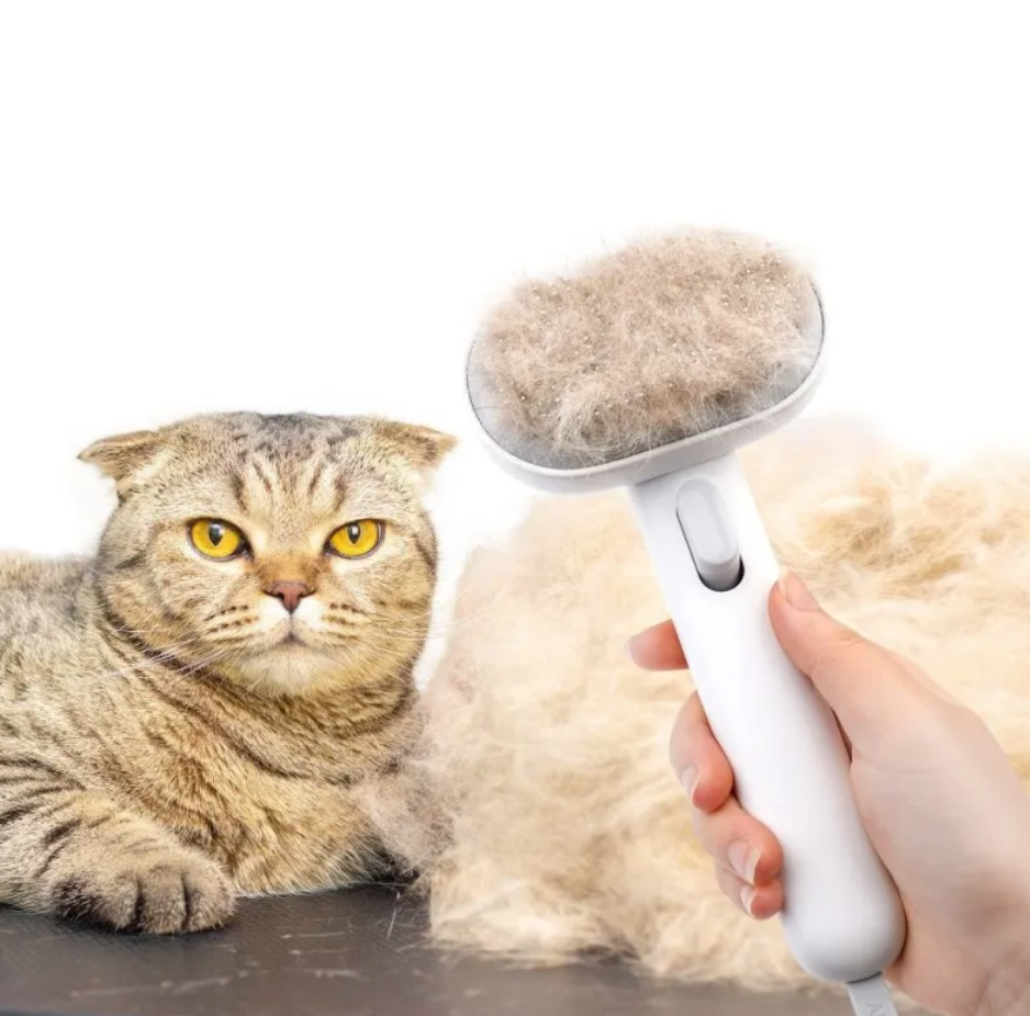 Cat being groomed with a pet grooming brush on a white background