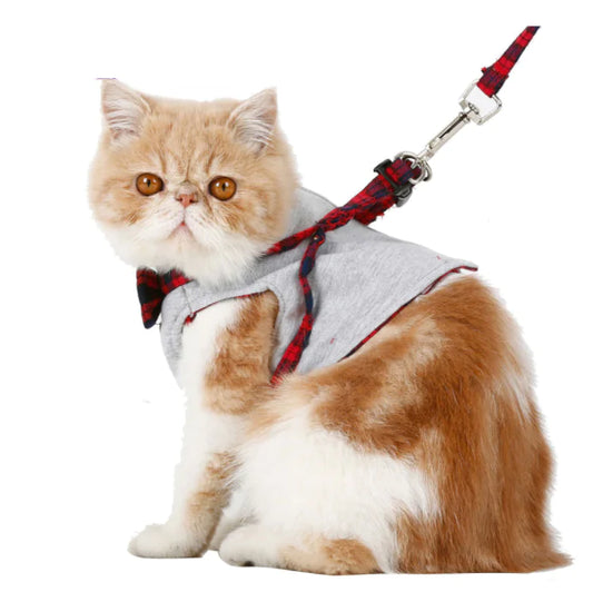 Cat Harness with Adjustable Leash and Collar
