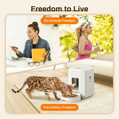 Automatic pet feeder giving cats dietary freedom while owners work or exercise