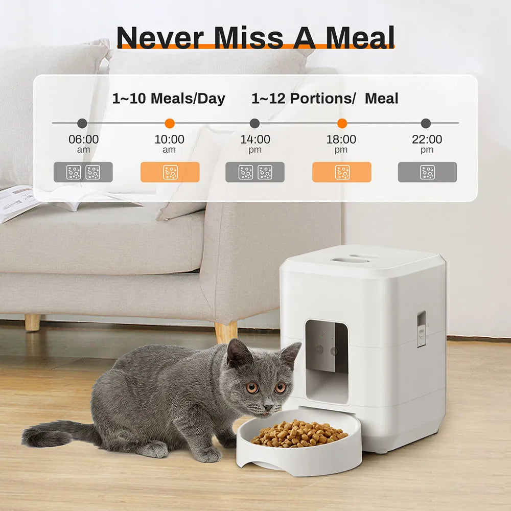 Pet feeder with a cat next to it in a living room setting, displaying feeding schedule.