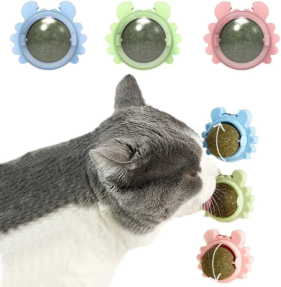 Catnip Wall Ball Cat Toy