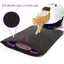 Gray non-slip cat litter mat that traps scattered litter