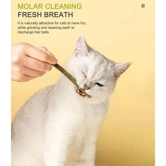 100% Natural Silver Vine Cat Chew Toys (6 Sticks/Box)