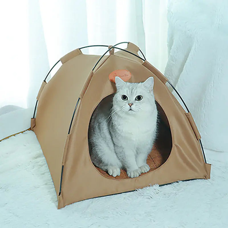 Indoor Cat Tent with Cushion