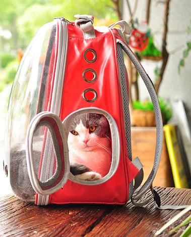 Cat Capsule Backpack